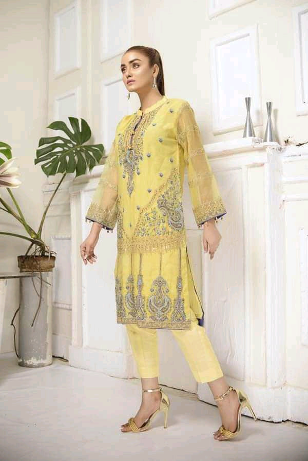 Adan's libas organza kurti 2020-100% Original Guaranteed