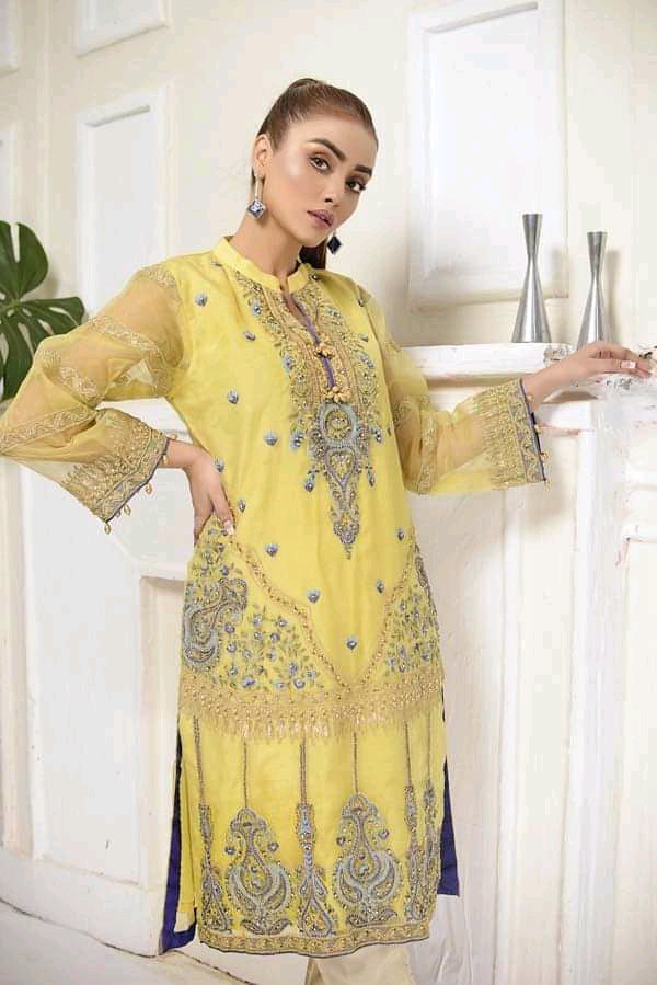 Adan's libas organza kurti 2020-100% Original Guaranteed