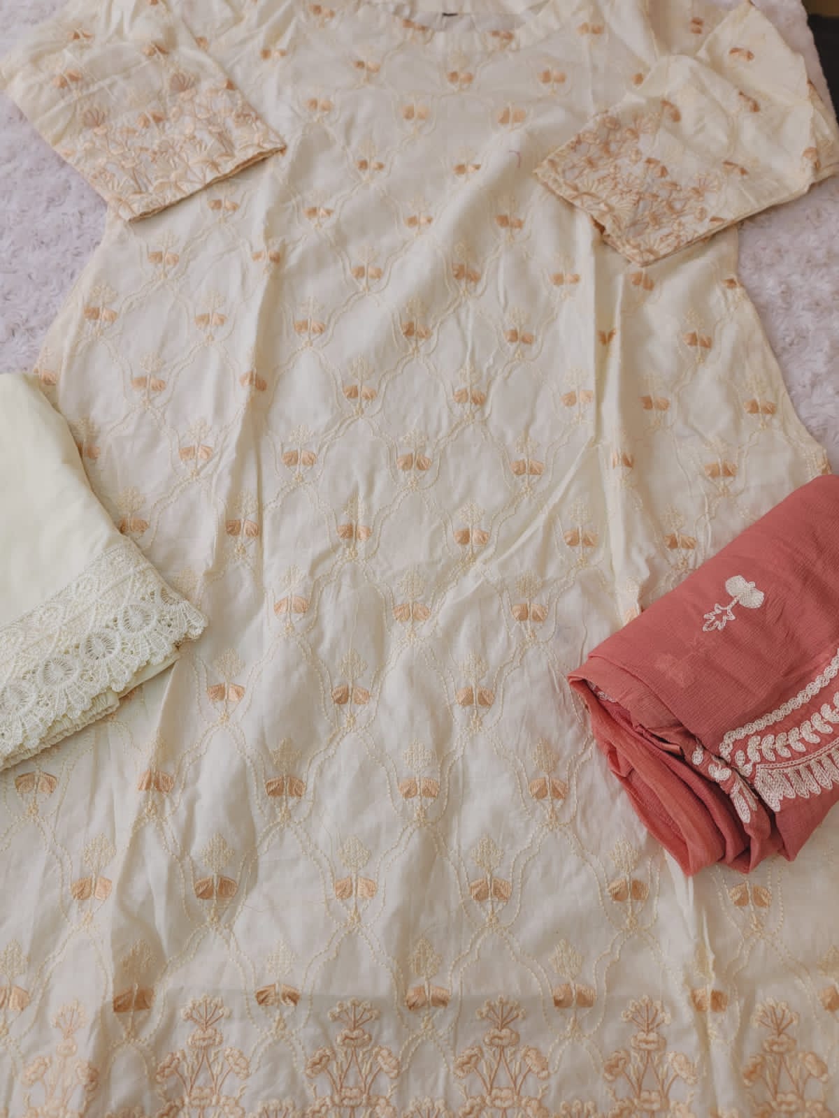 Indian Cotton Embroidered Suit Ready To Ship