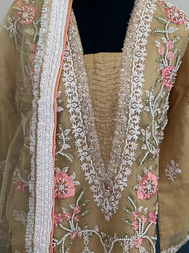 Pakistani Embroidered Party wear Ready To Ship