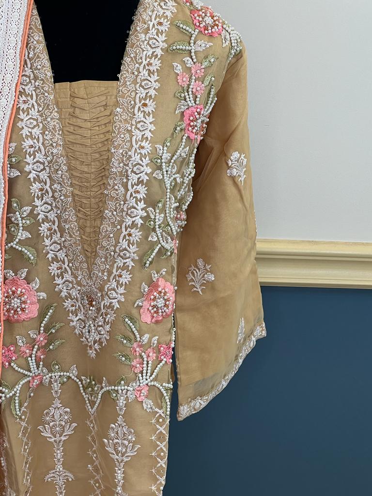 Pakistani Embroidered Party wear Ready To Ship