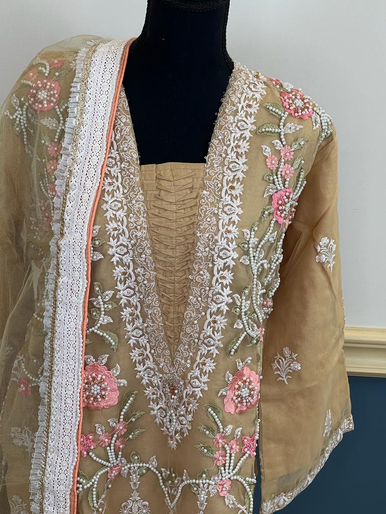 Pakistani Embroidered Party wear Ready To Ship