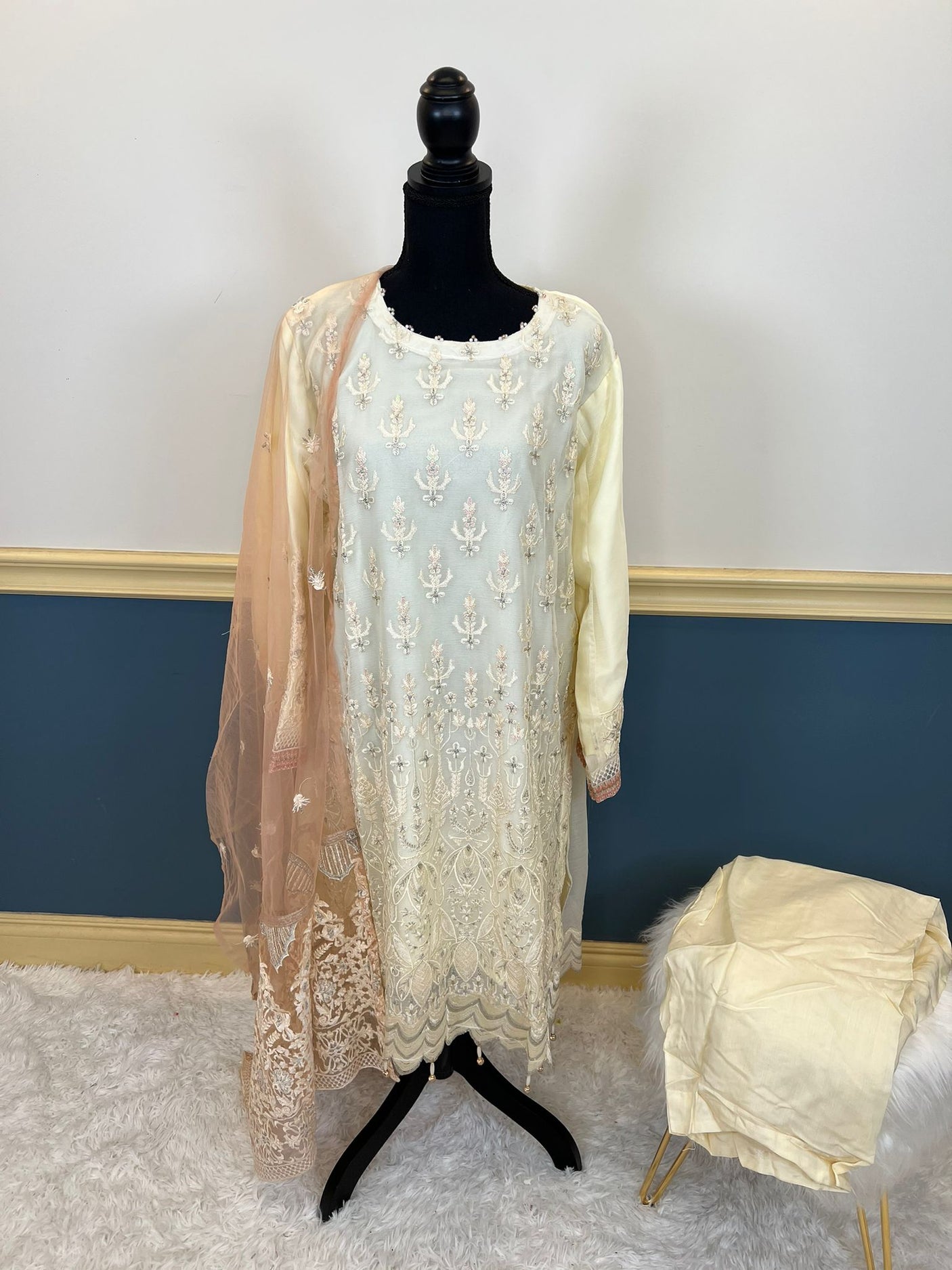 Pakistani Embroidered Party wear Ready To Ship