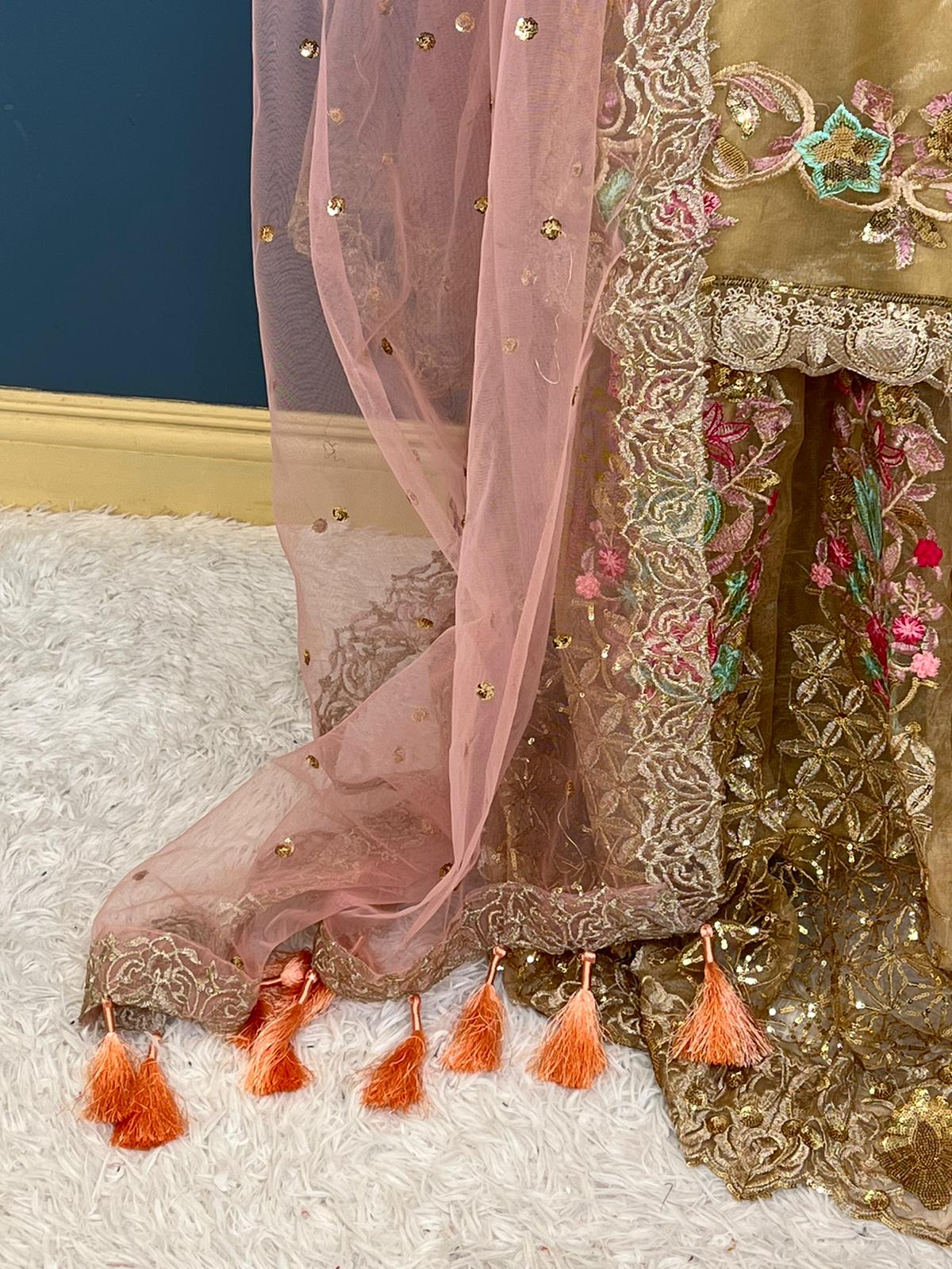 Pakistani Embroidered Party wear Ready To Ship