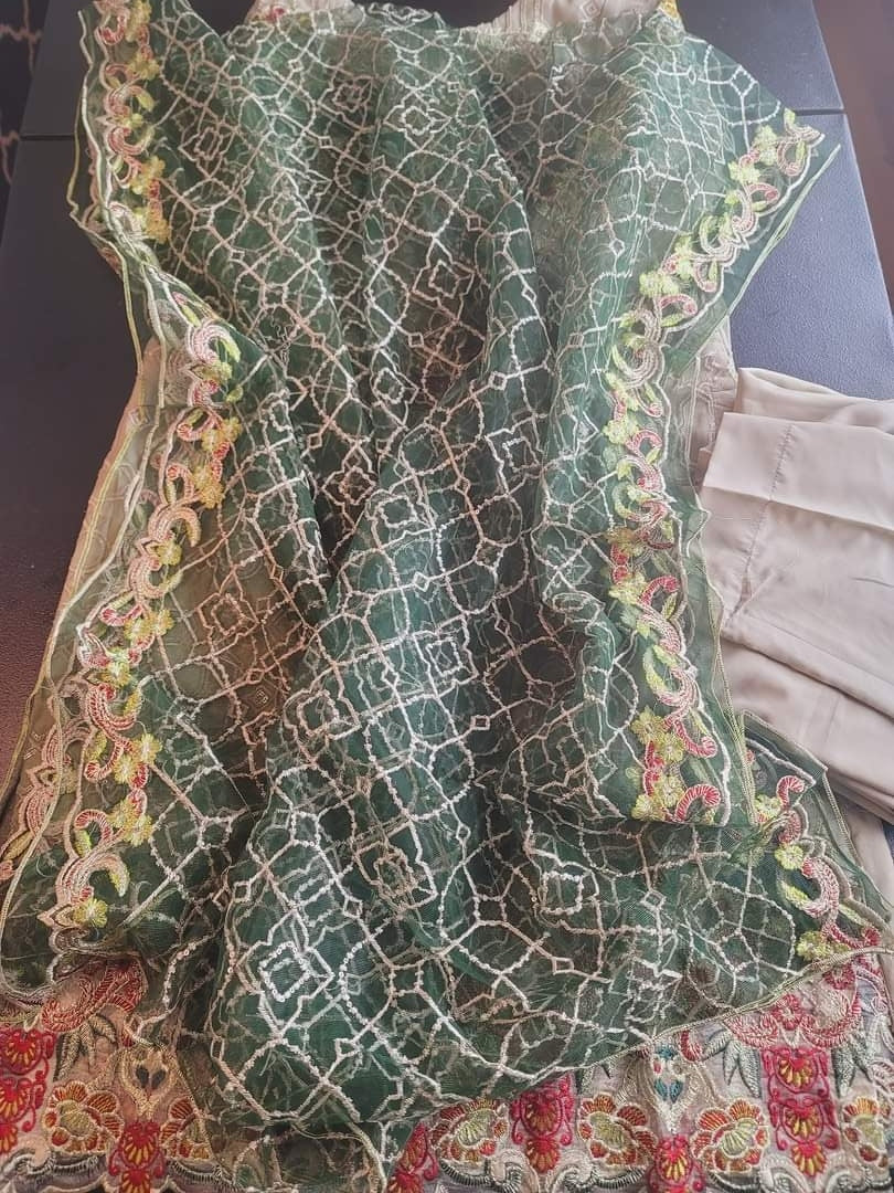 Pakistani Stitched Embroidery Party Wear Dresses Ready To Ship