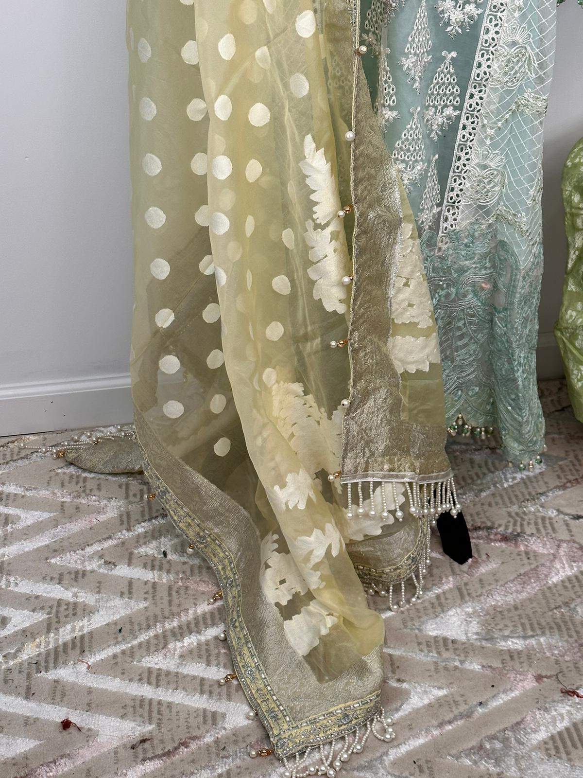 Pakistani Embroidered Party wear Ready To Ship