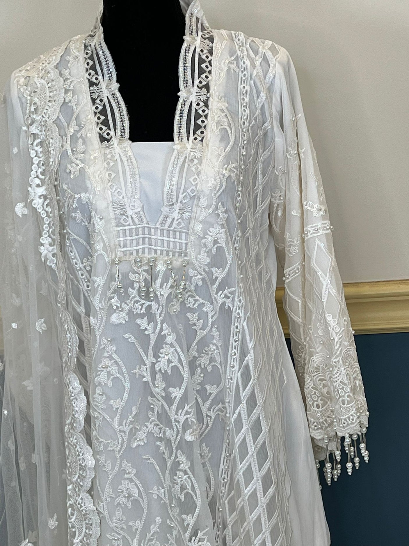 Pakistani Embroidered Party wear Ready To Ship