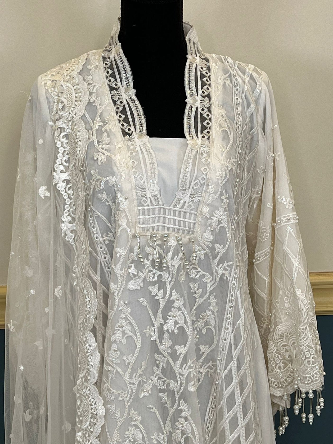 Pakistani Embroidered Party wear Ready To Ship