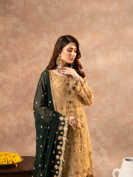 Zeenat By Zebtan  Premium Collection