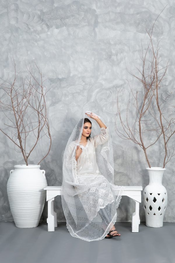 Rayleah By Tawakkal Premium Lawn Collection