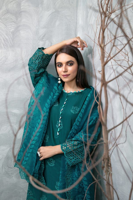 Rayleah By Tawakkal Premium Lawn Collection