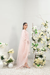 Gardenia By Tawakkal Embroidered Lawn Collection