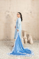 Despina by Tawakkal Luxury Lawn Collection