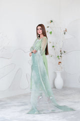 Gelareh by Tawakkal Premium   Lawn Collection