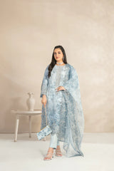 Jahira Stitched Organza Collection BY Tawakkal