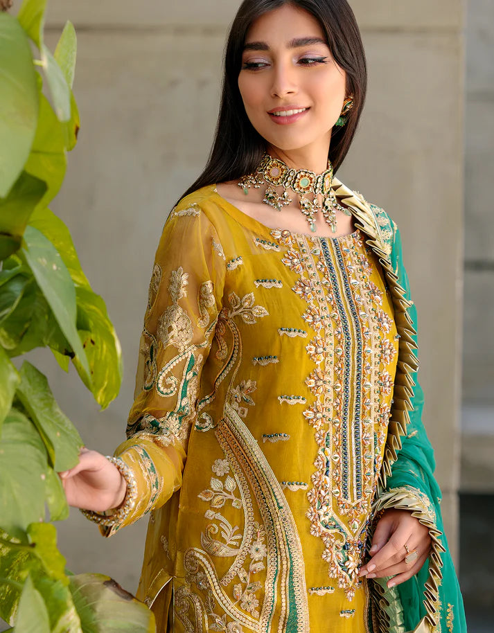 Belle Robe by Emaan Adeel Collection