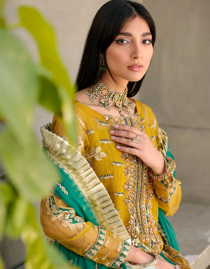 Belle Robe by Emaan Adeel Collection