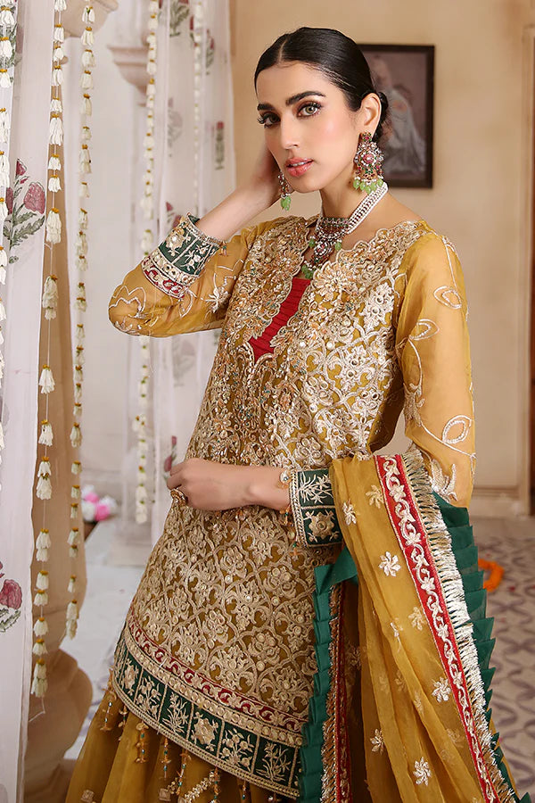 Lemilsa By Maryam's Chiffon Embroidered Collection