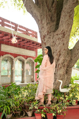 Parizah By Tawakkal Stitched Luxury Collection