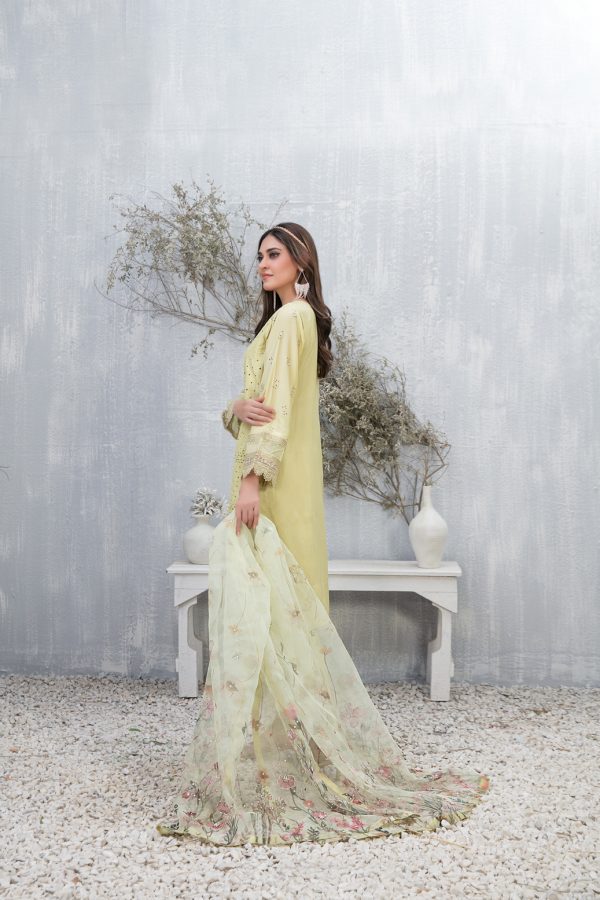 Payal By Tawakkal Premium Lawn Collection