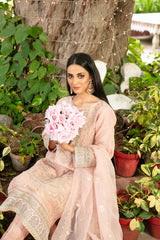 Parizah By Tawakkal Stitched Luxury Collection