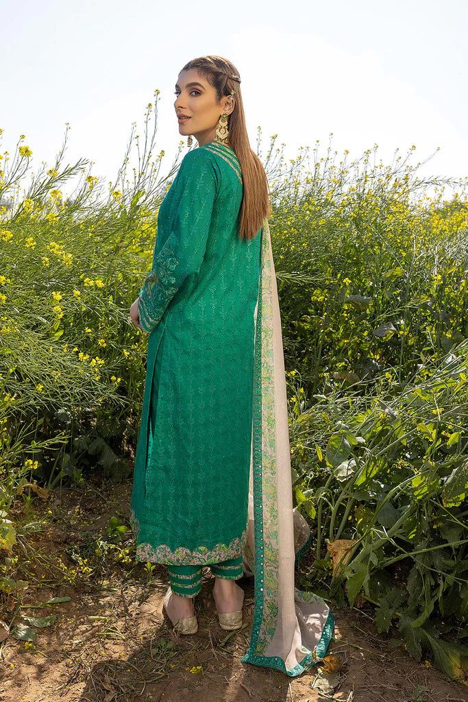 Lawn Chikankari Collection By Charizma