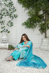 Nairah By Tawakkal Embroidered Lawn Collection