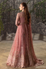 Afroze-La Fuchsia Luxury  Collection
