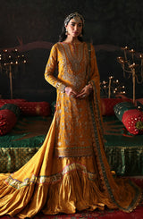 Devdas by Emaanadeel  Luxury  Collection