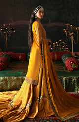 Devdas by Emaanadeel  Luxury  Collection