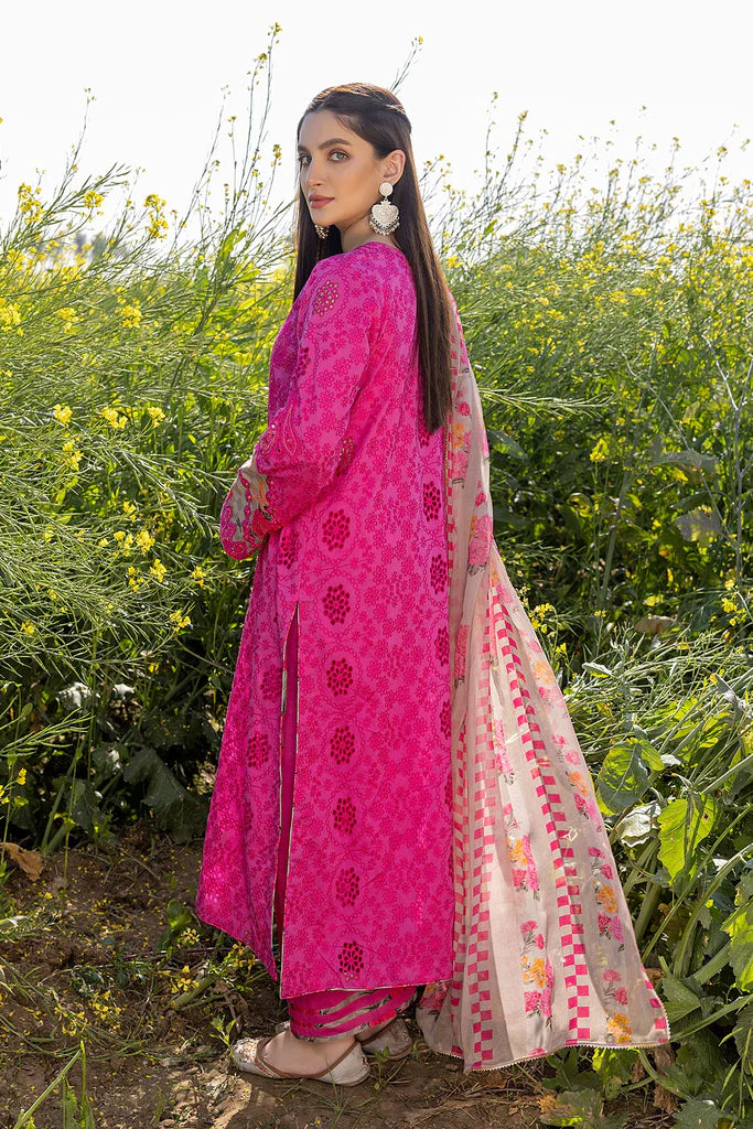 Lawn Chikankari Collection By Charizma