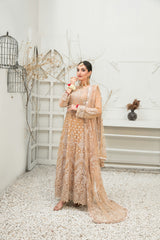 Amani By Tawakkal Luxury Chiffon Collection