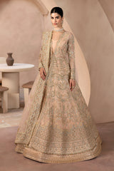 Dynastia by Emaan Adeel Premium  Collection