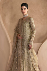Lustre by Emaan Adeel Premium  Collection