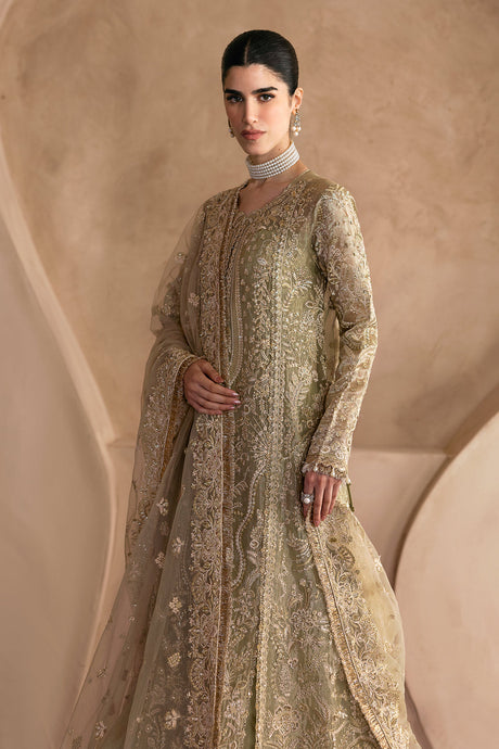 Lustre by Emaan Adeel Premium  Collection