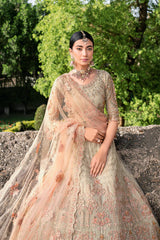 Ramsha Luxury Wedding Collection