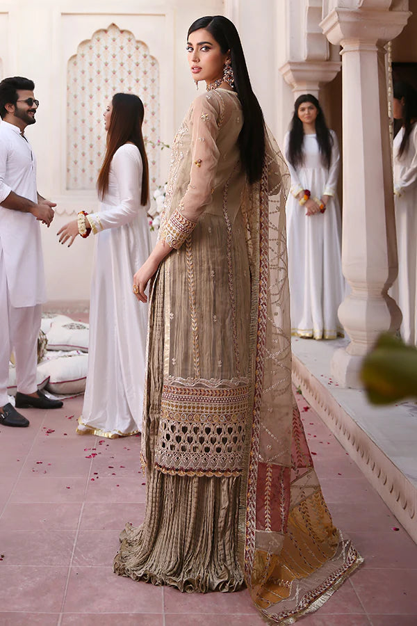 Lemilsa By Maryam's Chiffon Embroidered Collection