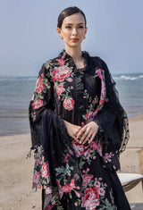 Adan's Libas Luxury Premium Collection
