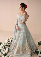 Freesia Premium Collection 100% Original