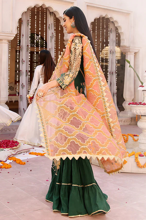 Lemilsa By Maryam's Chiffon Embroidered Collection