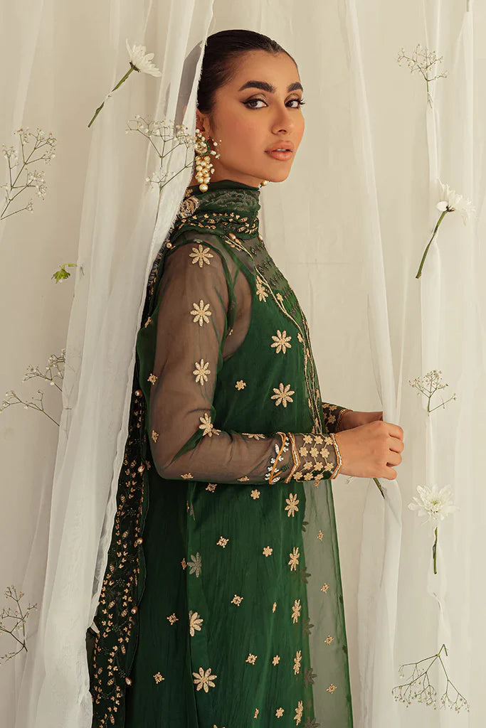 Cross Stitch Chiffon Embroidered Collection