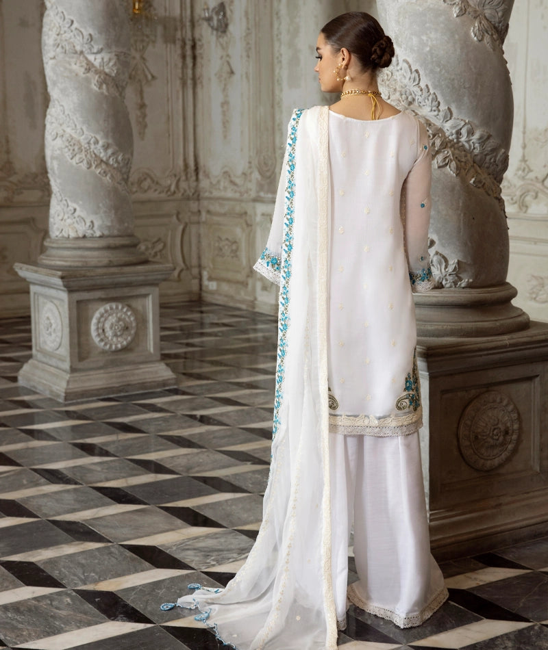 Merakish Luxury Chiffon  Collection