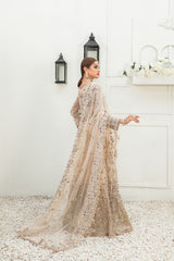 Amani By Tawakkal Luxury Chiffon Collection