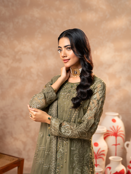 Zeenat By Zebtan  Premium Collection