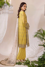 Lueur By Adans Libas Luxury Chiffon Embroidered Collection