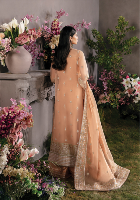 Afroze-La Fuchsia Luxury Chiffon Collection