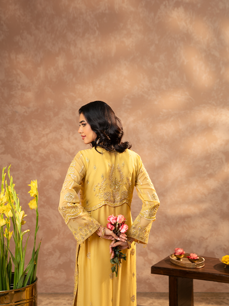 Zeenat By Zebtan  Premium Collection