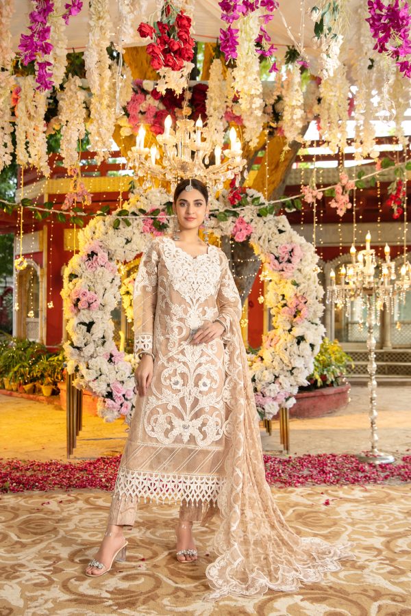 Jahan By Tawakkal Stitched Luxury Collection 2023