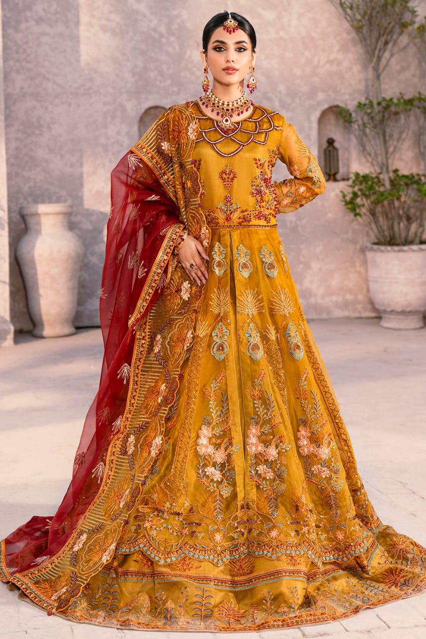 Zircon By Zebtan  Premium Collection