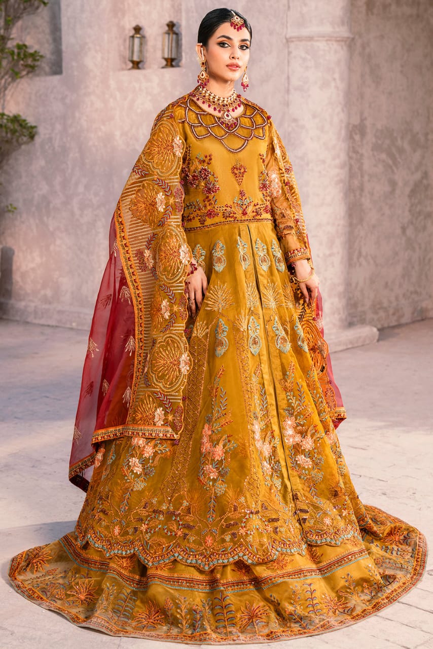 Zircon By Zebtan  Premium Collection